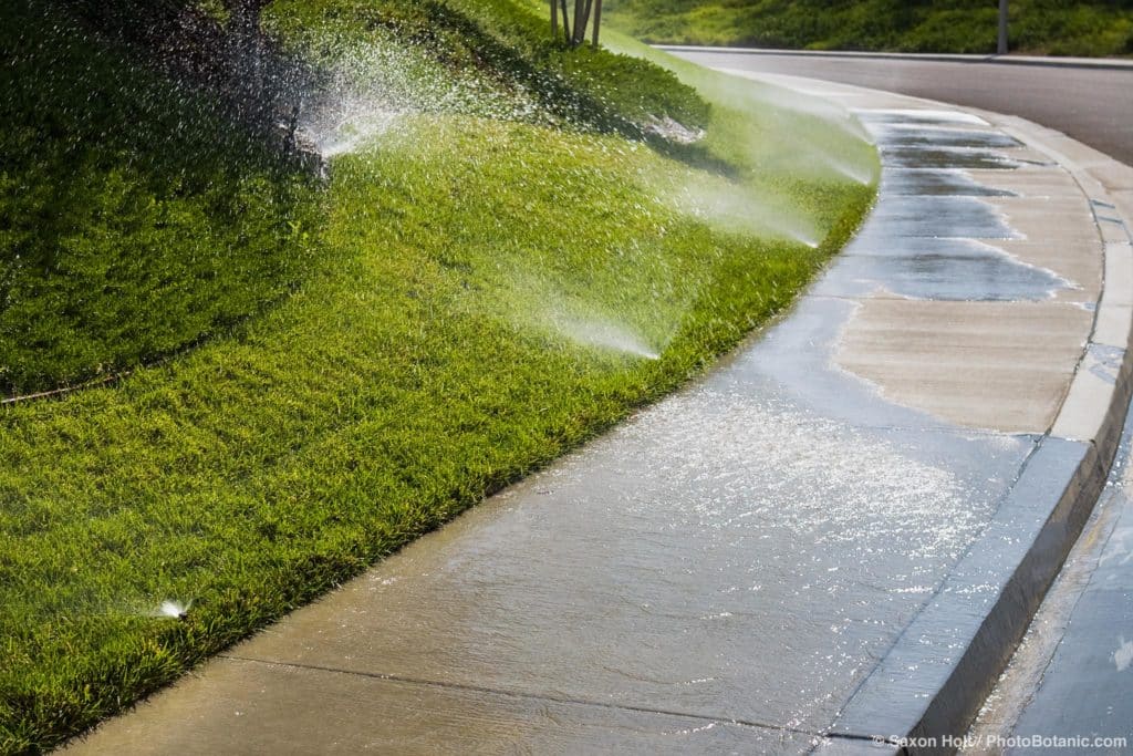 water waste; garden lawn sprinklers running down sidewalk
