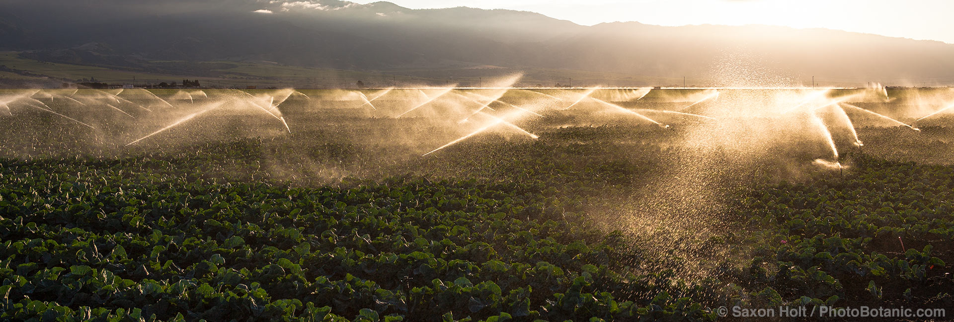farm irrigation california