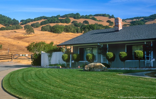 California suburban lawn and summer-dry hills