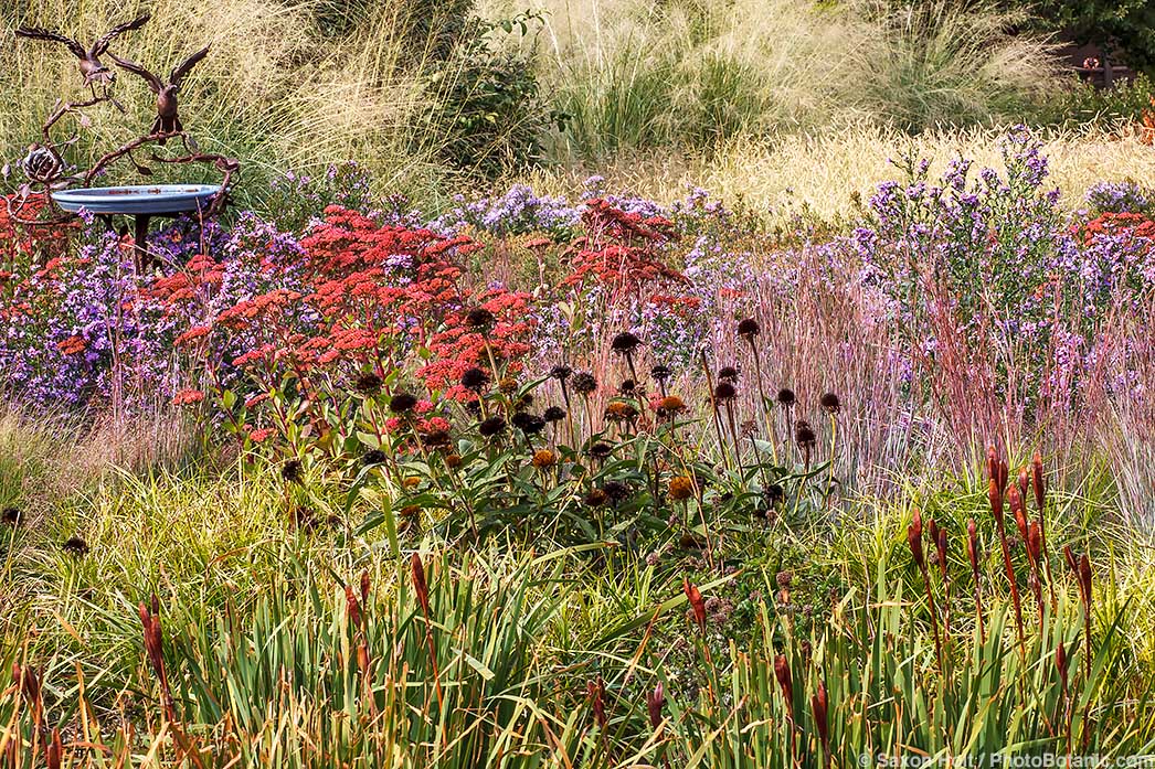 Is It Okay to Feed the Birds? - Bird house and bird bath in wildlife garden that provides nectar, seeds, and insects for birds