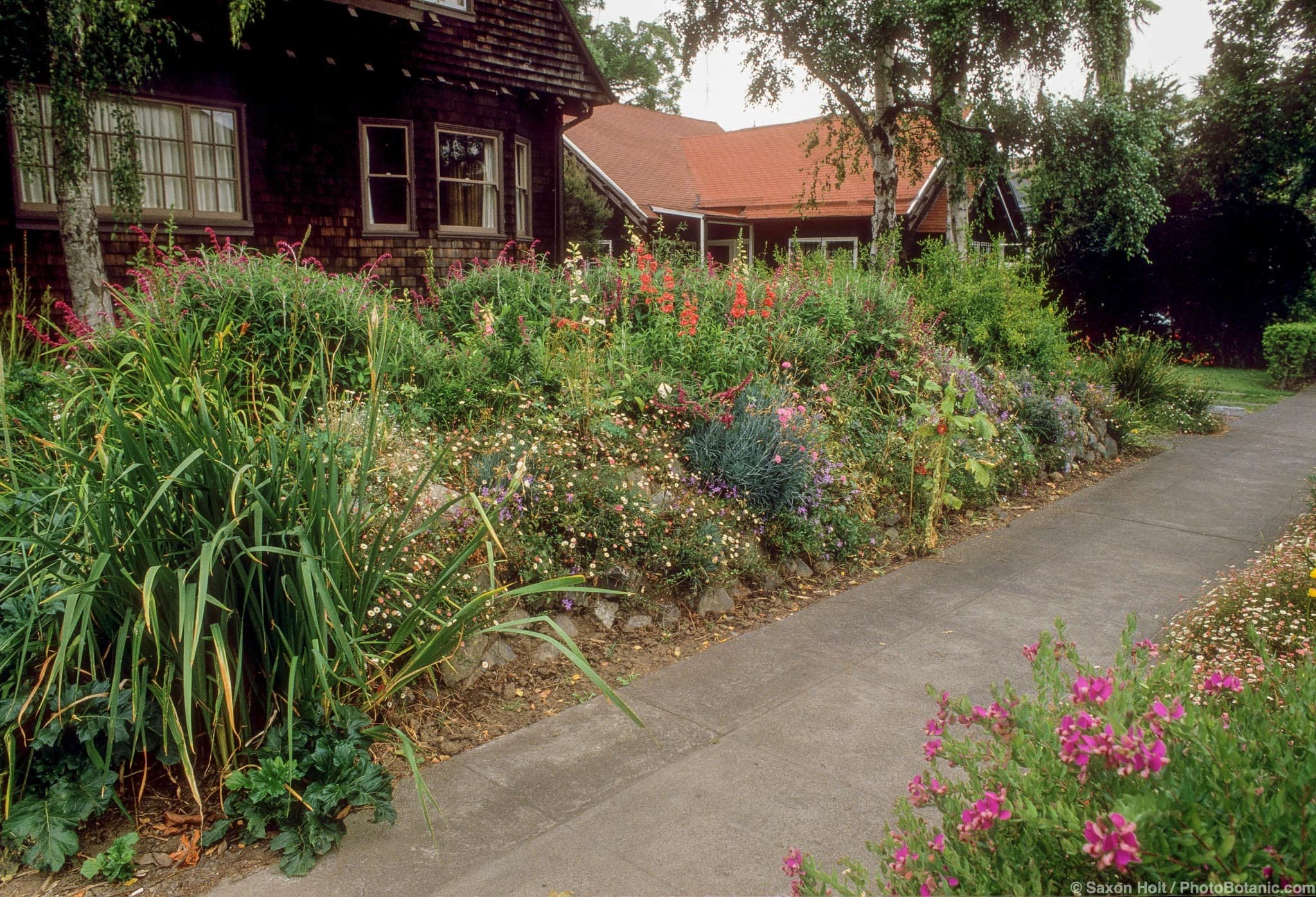 Front yard mounded earth berm