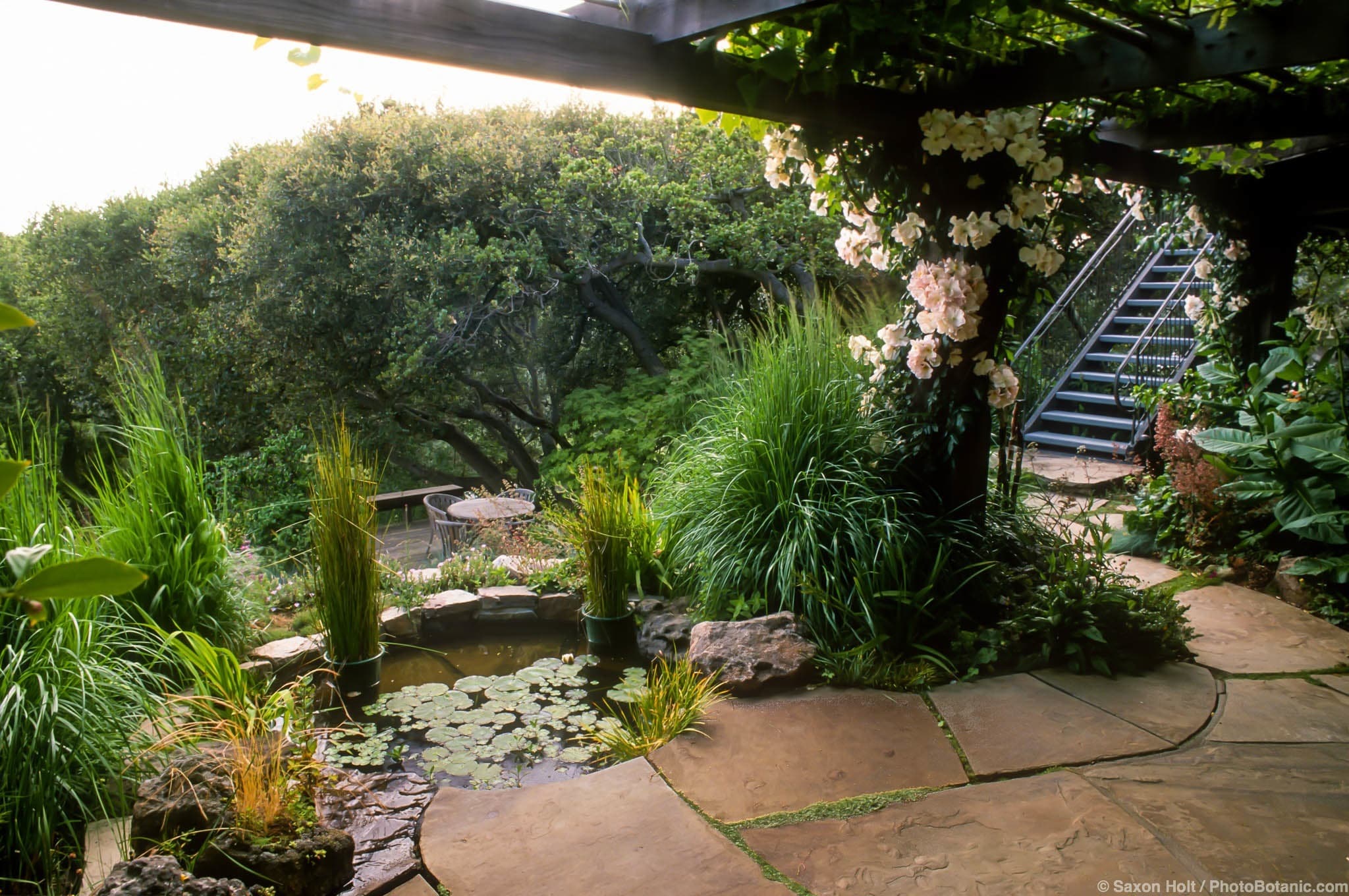 Patio with pond water feature