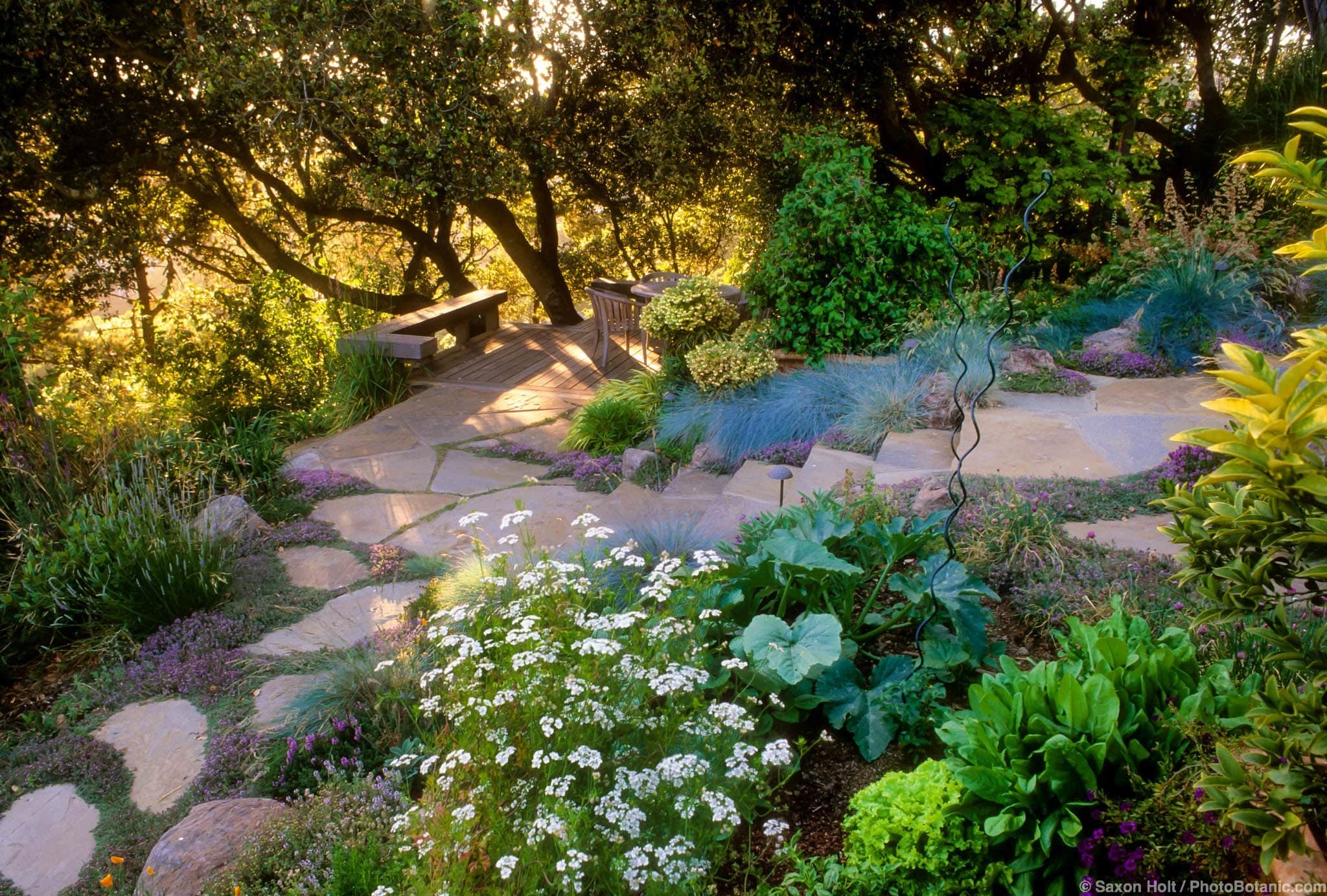 Vegetable garden