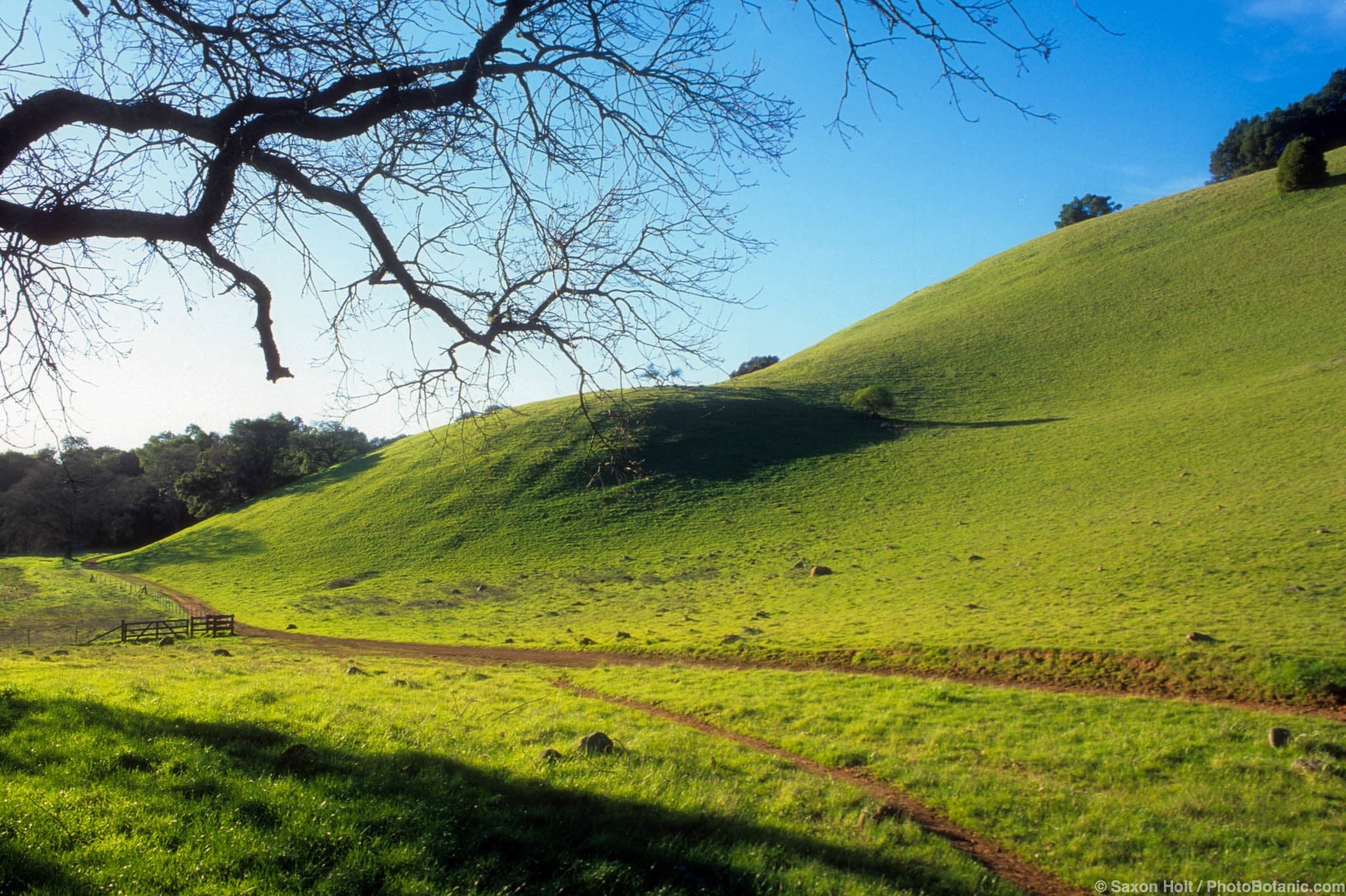 Mount Burdell