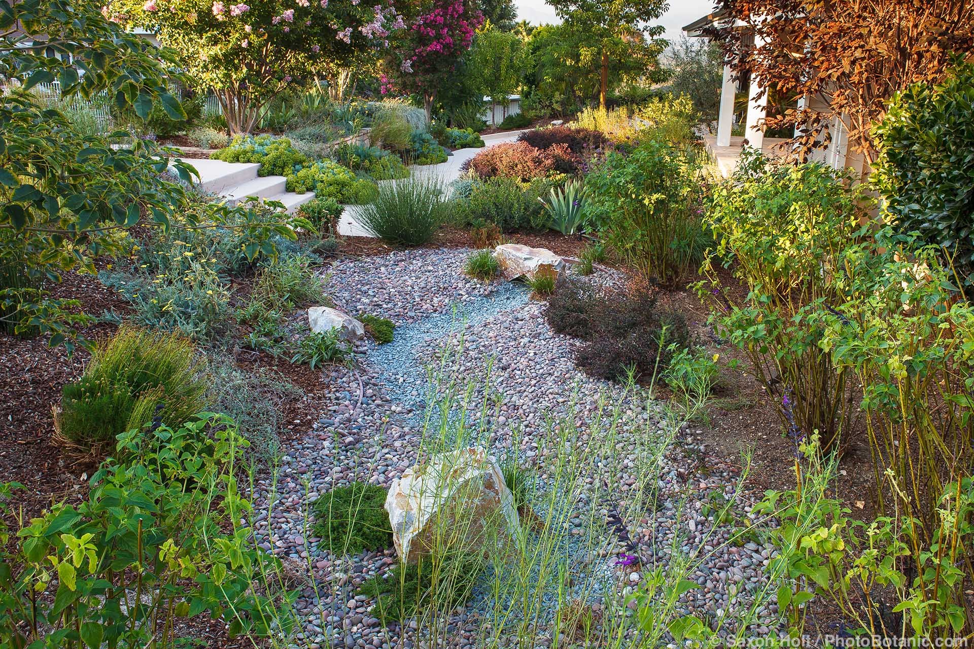 Rain garden with dry gravel percolation pond, Erskin garden Water conserving Southern California front yard garden; design Urban Water Group