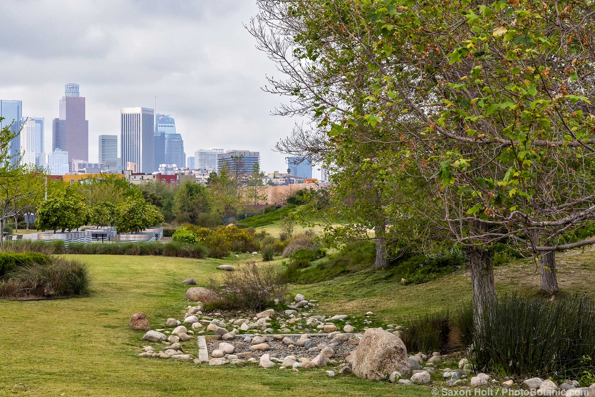 Los Angeles State Historic Park, urban park with native plant habitat restoration and bioswale