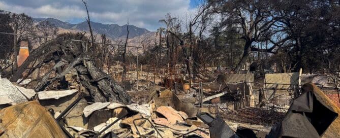 Altadena fire destruction with surviving Oak trees