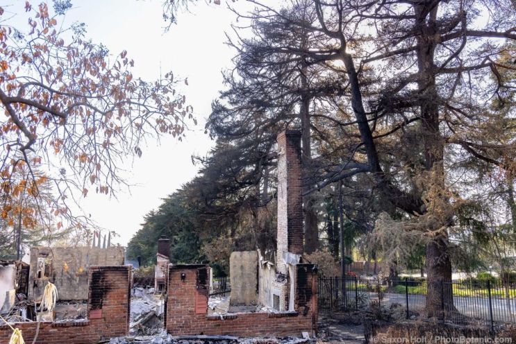 February 2025 Newsletter: Planning For Fire