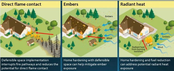 August Blog Post: Zone Zero Landscape Code