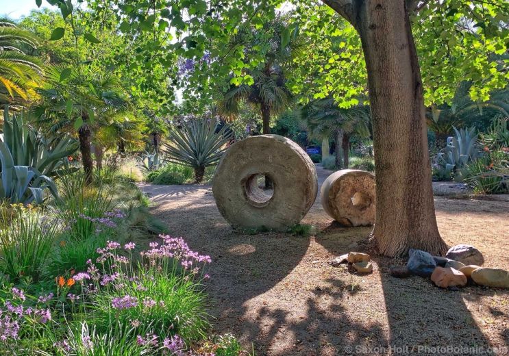 November 2025 Newsletter: November Rains