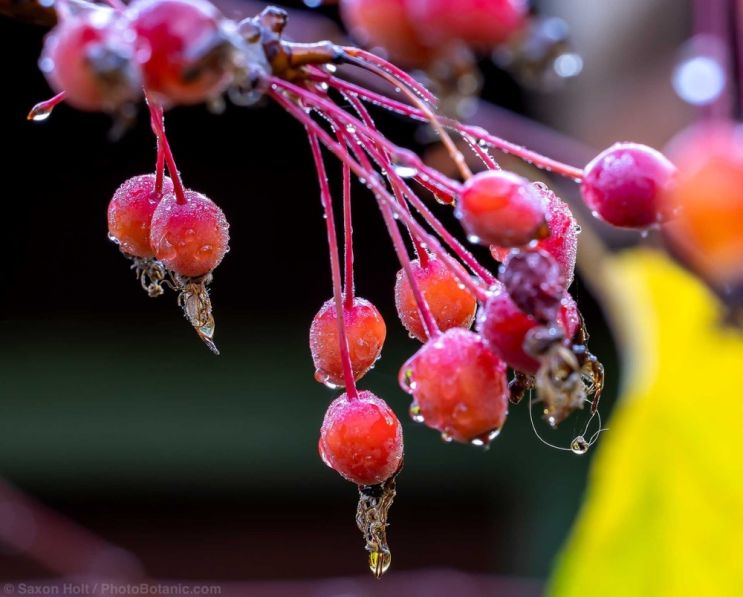 November 2025 Newsletter: November Rains