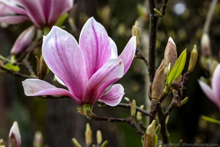 January 2026 Newsletter:The New Year Is Here ( Cloned )