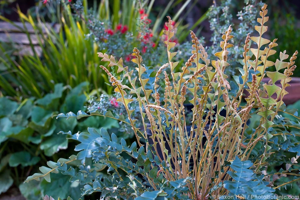 January 2026  Newsletter:The New Year Is Here ( Cloned )