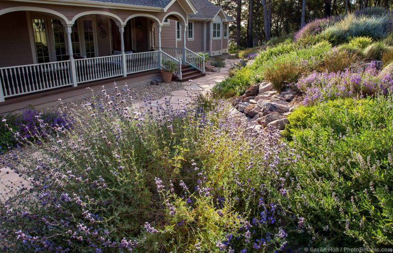 Firewise garden, Sonoma County, California; Stacey Owens Design