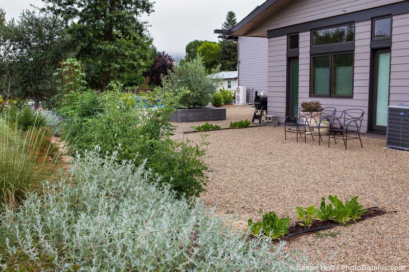 Gravel courtyard defensible space, Firescape design Hardie board siding, Caughey Garden, Kenwood; April Owens Design